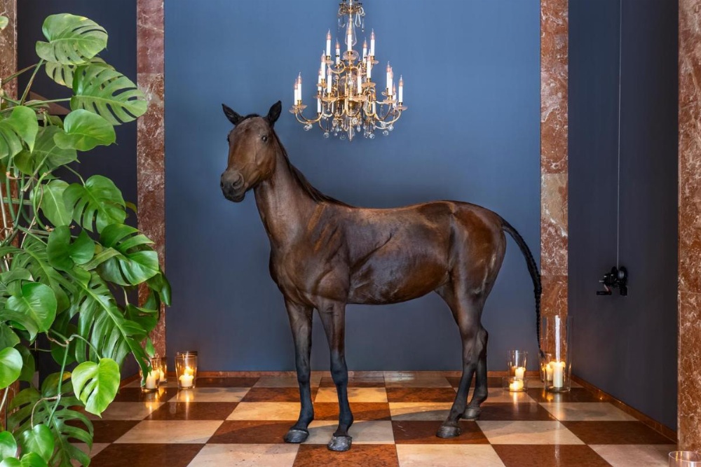 Grand Ferdinand Vienna - Your Hotel In The City Center Image 28